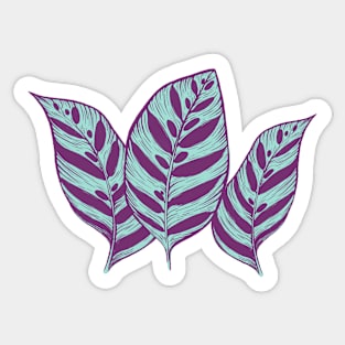 calathea foliage Sticker